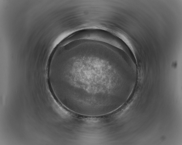 X0000090911141200707301428