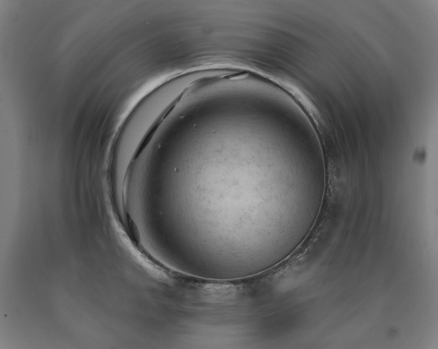 X0000090911142200707301428
