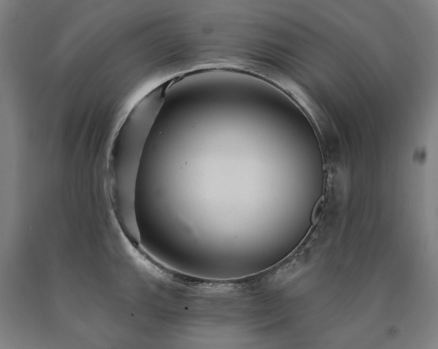 X0000090911143200707301428
