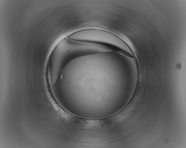 X0000090911144200707301428