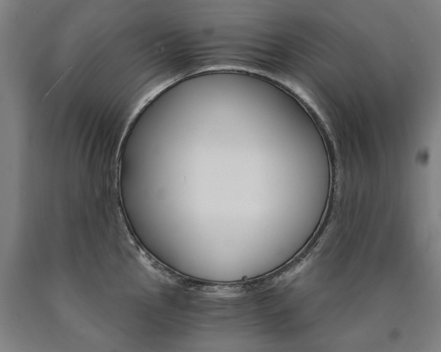 X0000090911145200707301428