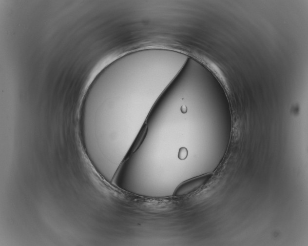 X0000090911146200707301428