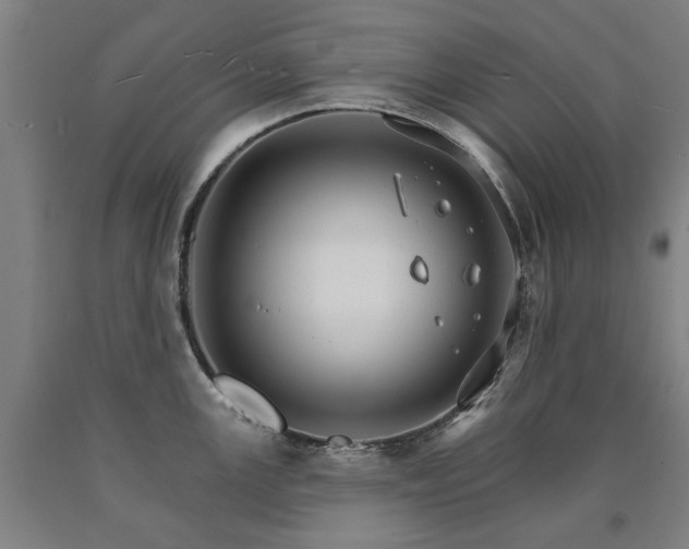 X0000090911147200707301428