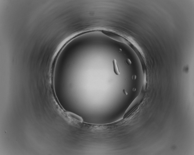 X0000090911148200707301428