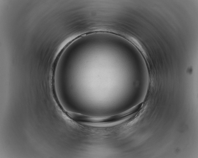 X0000090911149200707301428