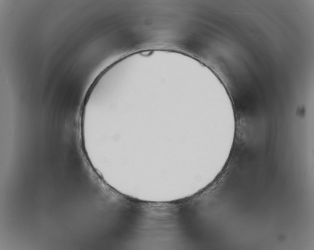X0000090911150200707301428