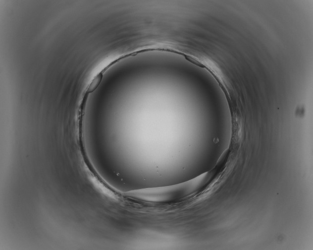 X0000090911151200707301428
