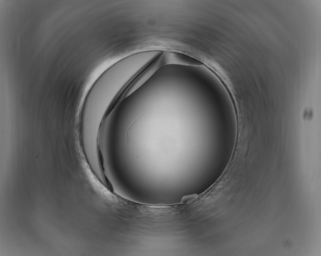 X0000090911152200707301428