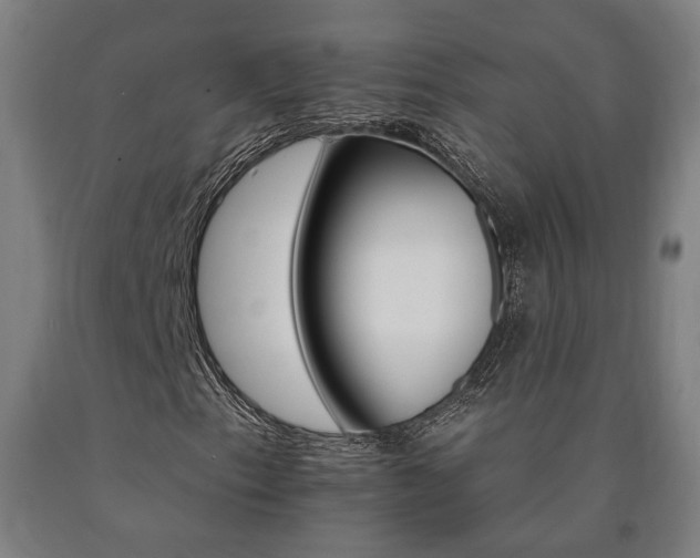 X0000090911153200707301428