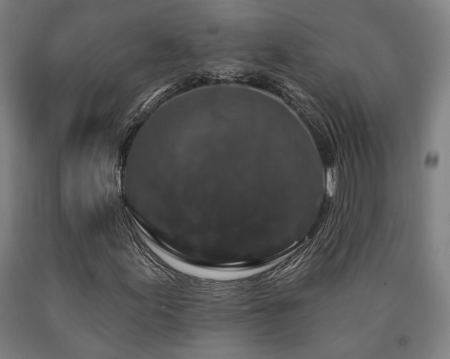 X0000090911155200707301428