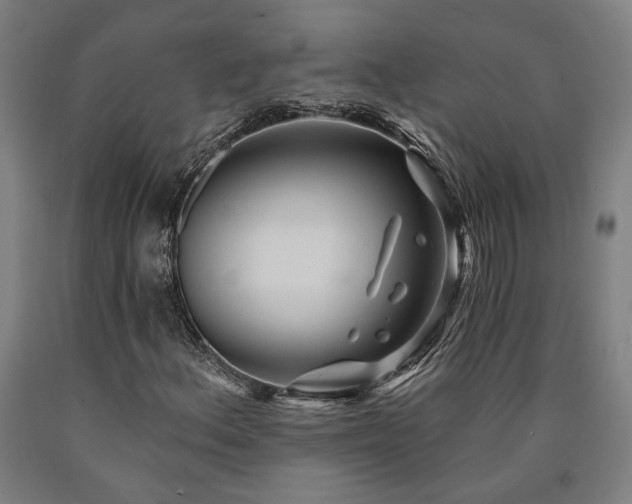 X0000090911156200707301428