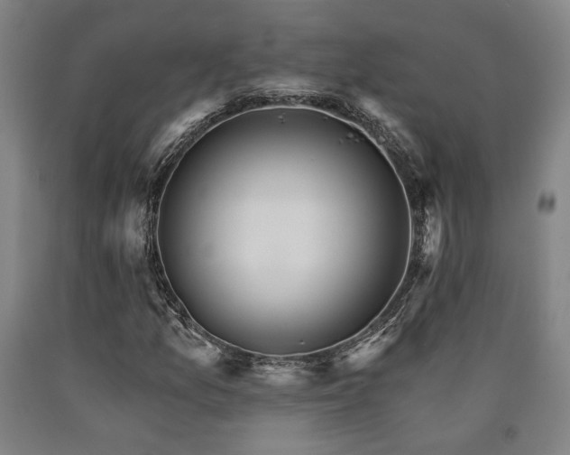 X0000090911157200707301428
