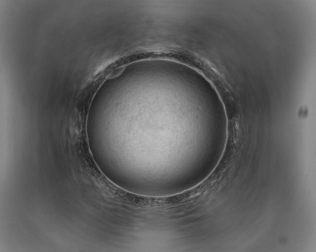 X0000090911158200707301428