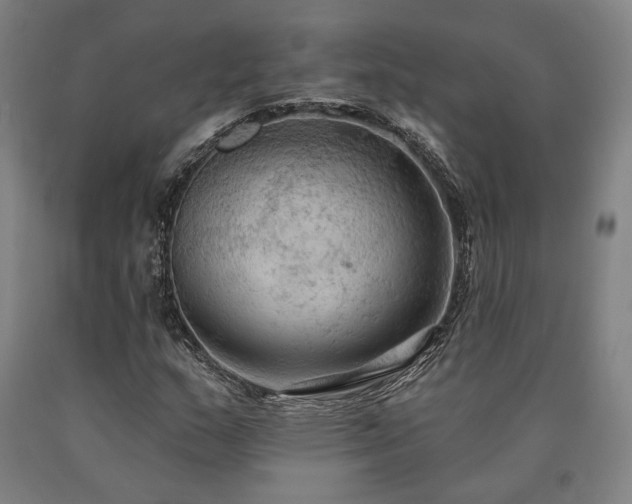 X0000090911159200707301428
