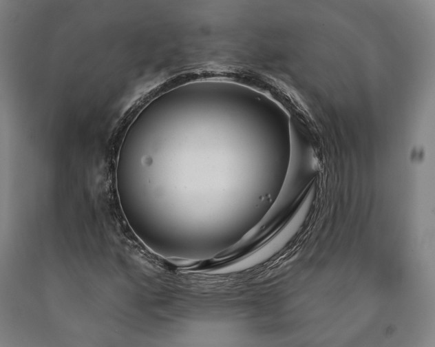 X0000090911160200707301428