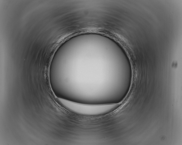 X0000090911161200707301428