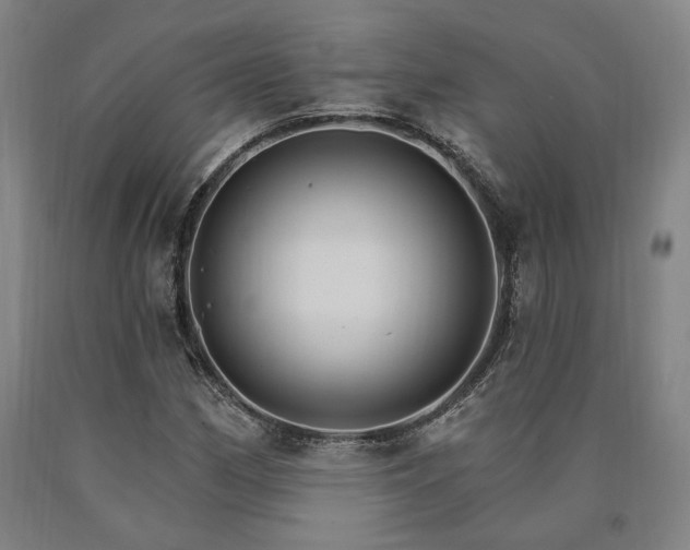 X0000090911162200707301428
