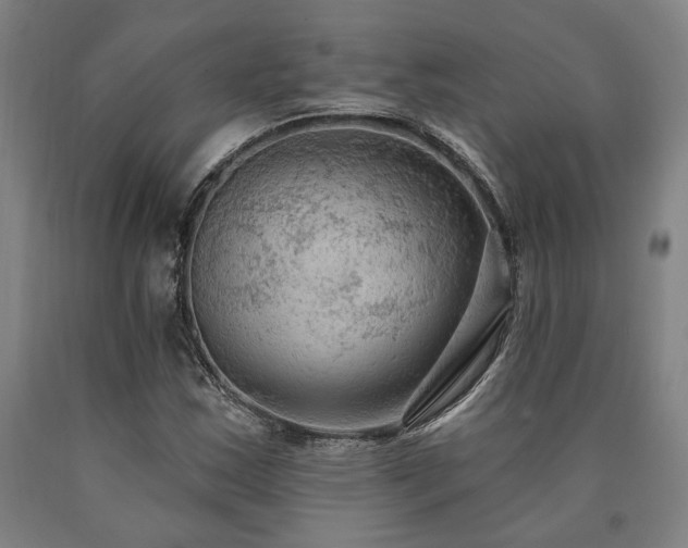 X0000090911163200707301428
