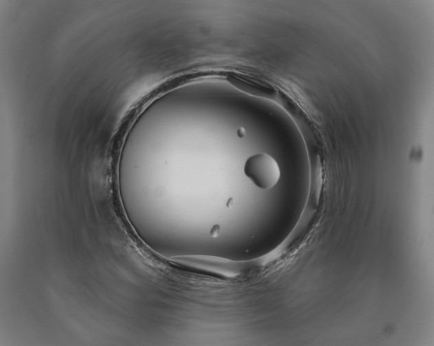 X0000090911164200707301428
