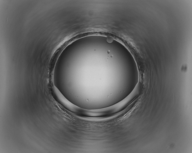 X0000090911165200707301428