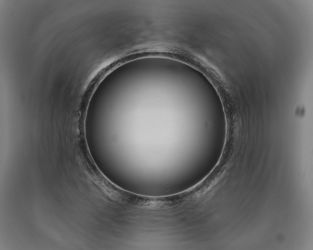 X0000090911166200707301428