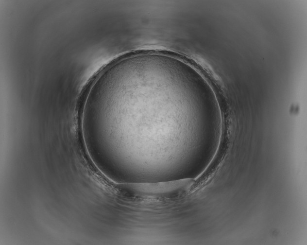 X0000090911167200707301428