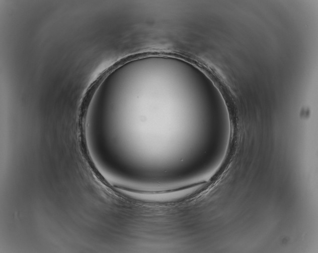 X0000090911168200707301428
