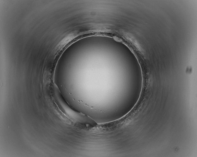 X0000090911169200707301428