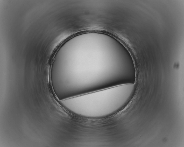 X0000090911171200707301428