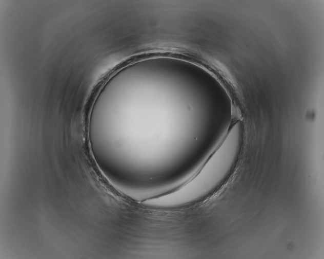 X0000090911172200707301428