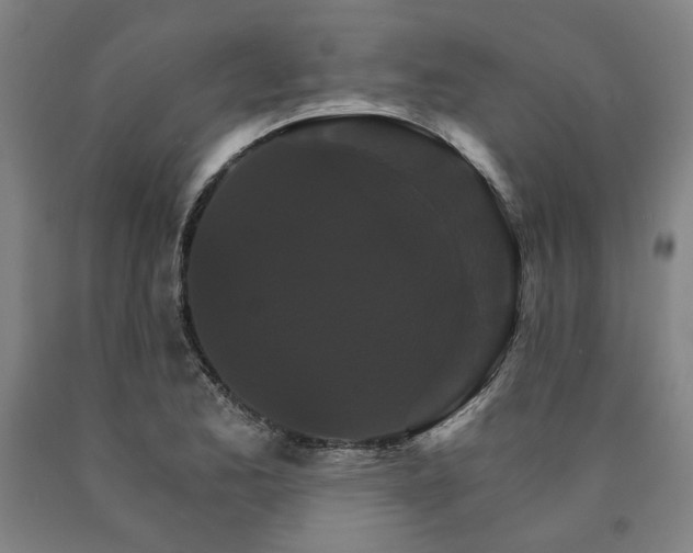 X0000090911173200707301428