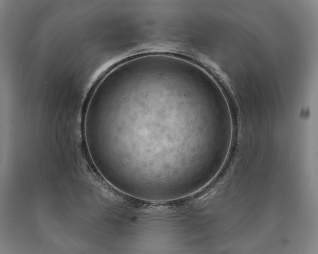 X0000090911174200707301428