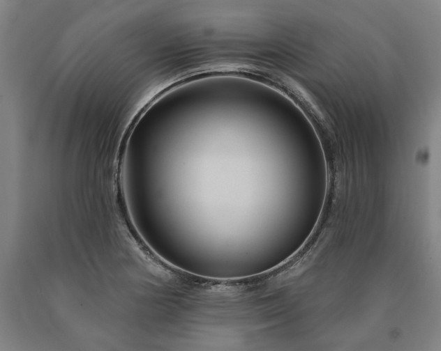 X0000090911178200707301427