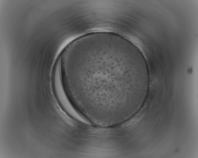X0000090911179200707301427