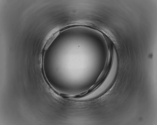 X0000090911180200707301427