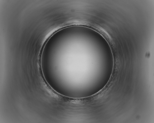 X0000090911182200707301427