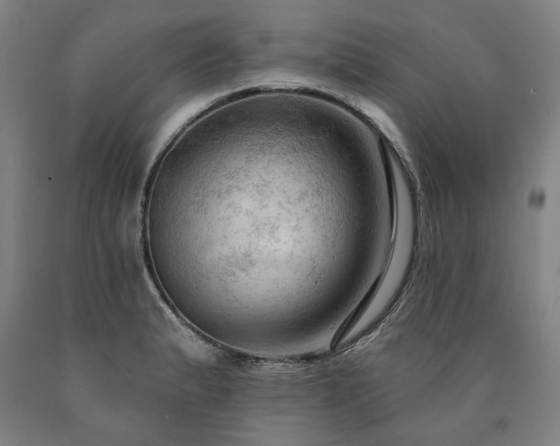 X0000090911183200707301427