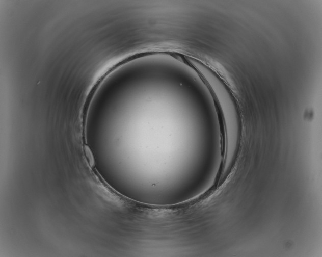 X0000090911184200707301427