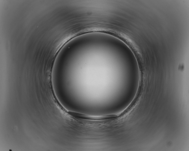 X0000090911185200707301427