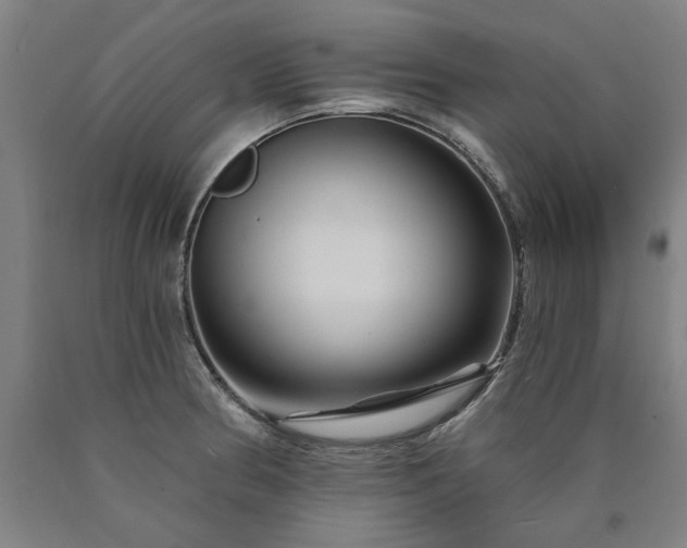 X0000090911186200707301427