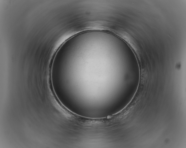 X0000090911187200707301427