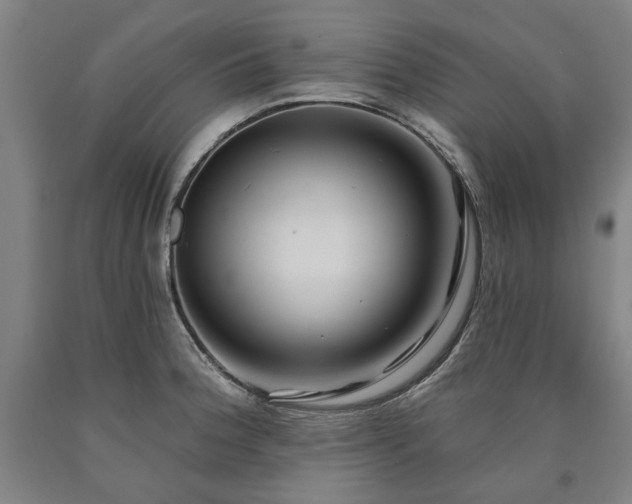 X0000090911188200707301427