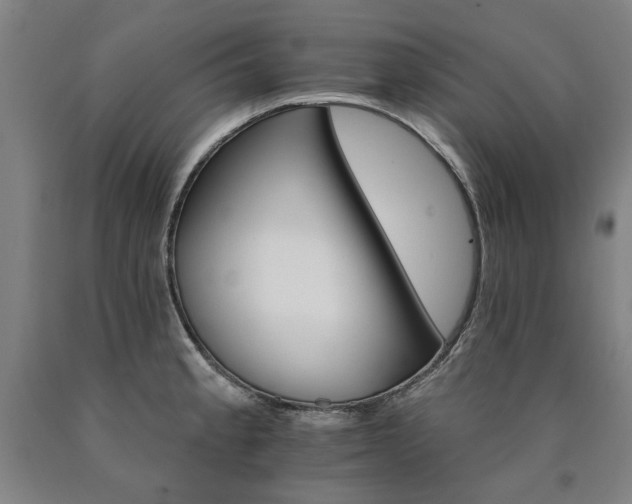X0000090911189200707301427
