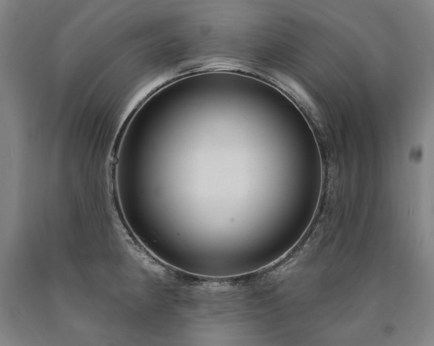 X0000090911190200707301427