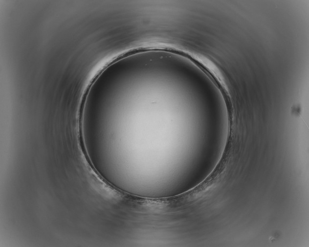 X0000090911191200707301427