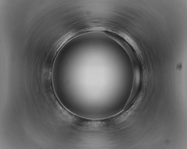 X0000090911193200707301427