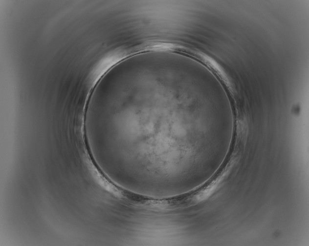 X0000090911194200707301427