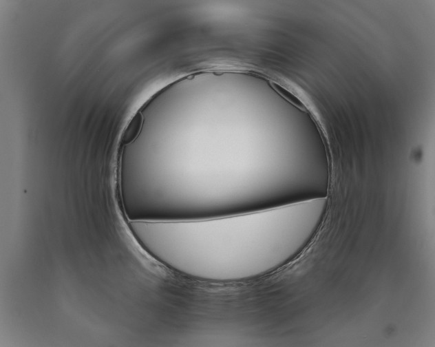 X0000090911195200707301427
