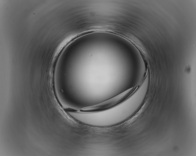 X0000090911196200707301427