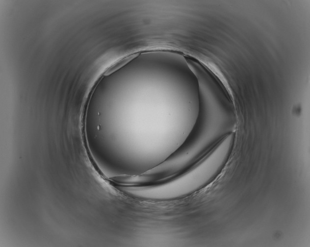 X0000090911197200707301427